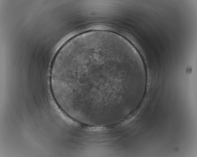 X0000112350853200909241100