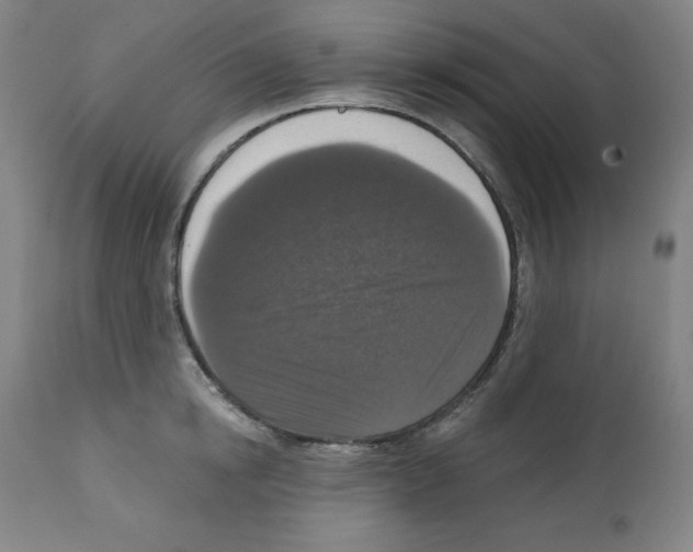 X0000112350854200909241100