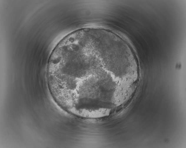 X0000112350855200909241100