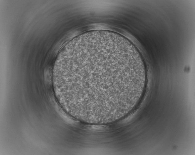 X0000112350857200909241100