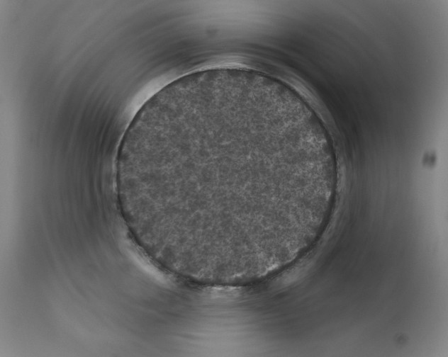 X0000112350858200909241100