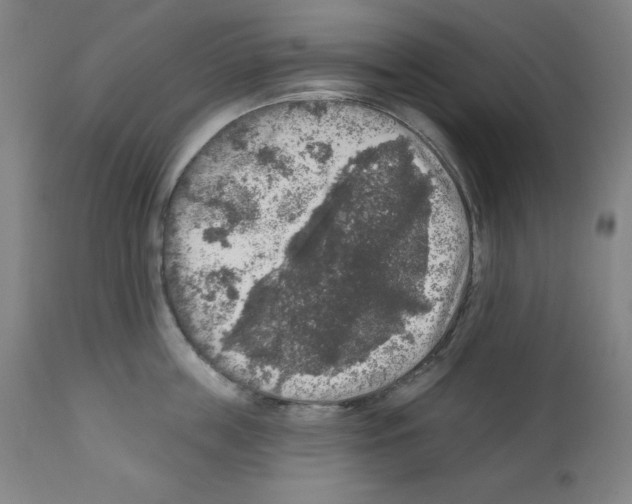 X0000112350859200909241100