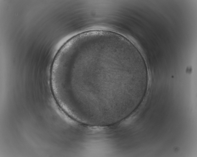 X0000112350862200909241100