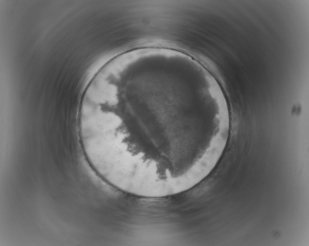 X0000112350863200909241100