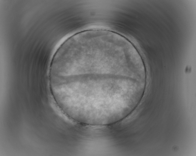 X0000112350864200909241100