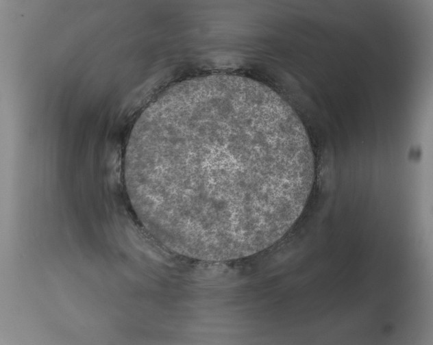 X0000112350866200909241100