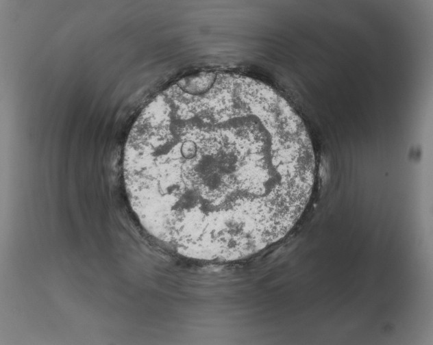 X0000112350867200909241100