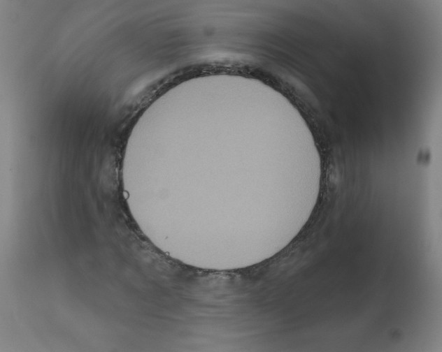 X0000112350869200909241100