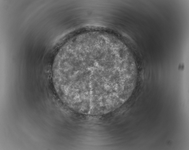 X0000112350870200909241100