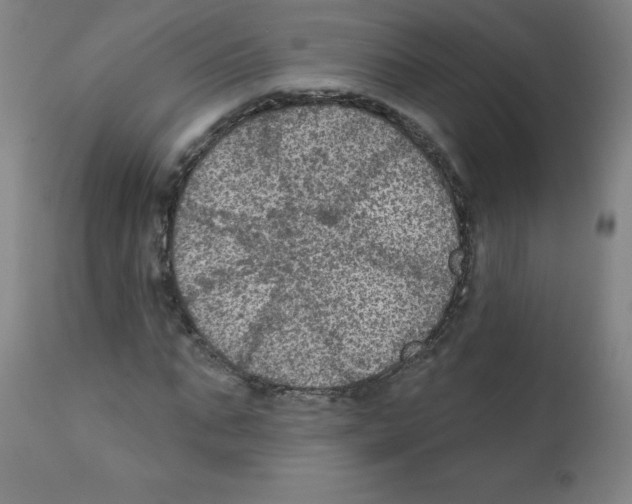 X0000112350871200909241100