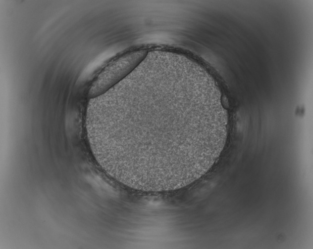 X0000112350872200909241100