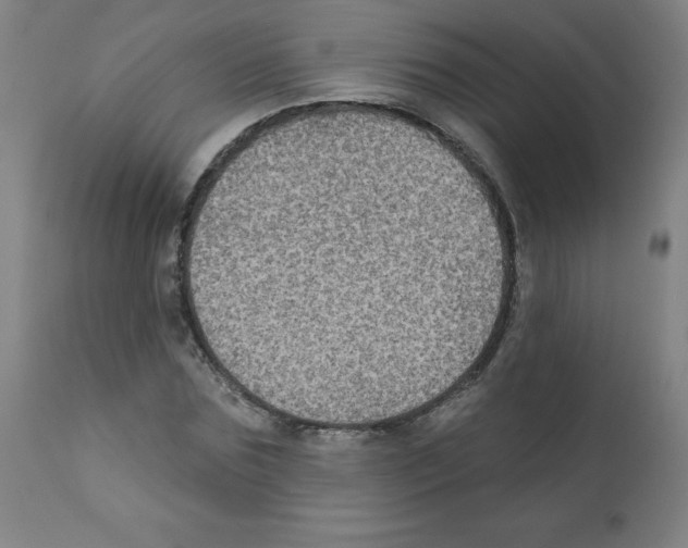 X0000112350875200909241059