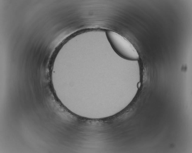 X0000112350876200909241059