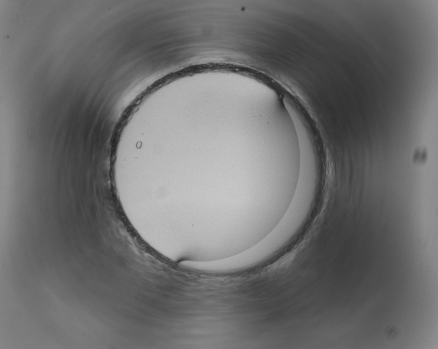 X0000112350877200909241059