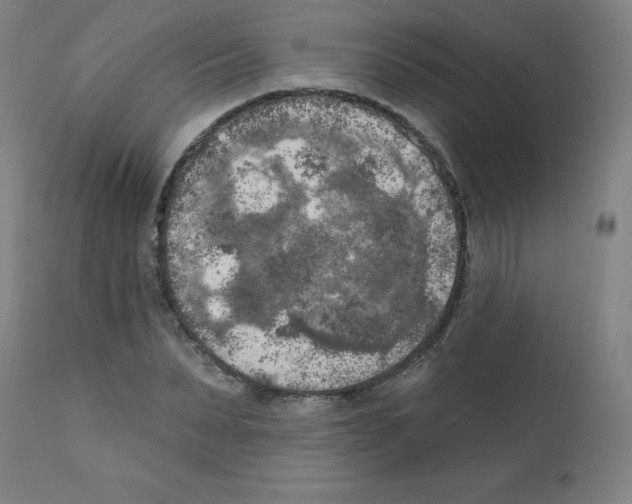 X0000112350879200909241059