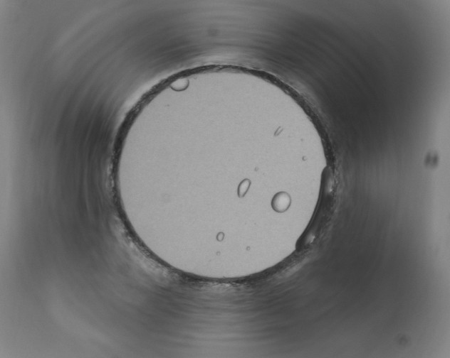 X0000112350880200909241059