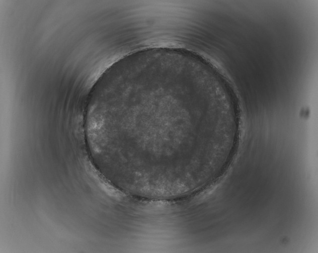 X0000112350881200909241059