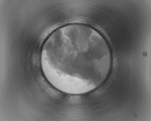 X0000112350882200909241059