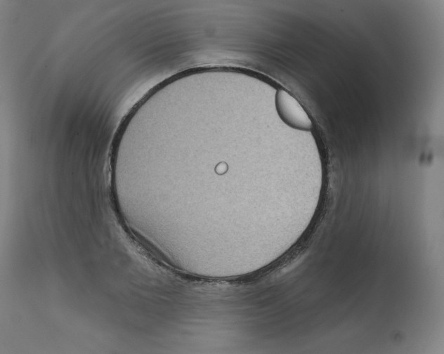 X0000112350885200909241059