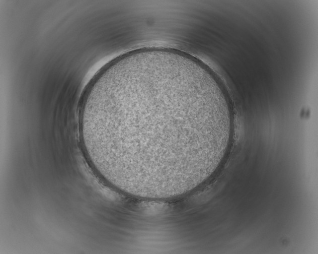 X0000112350886200909241059