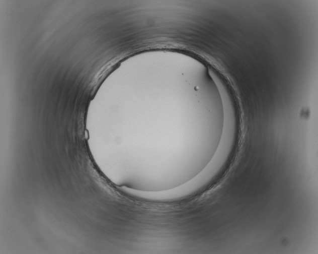 X0000112350889200909241059