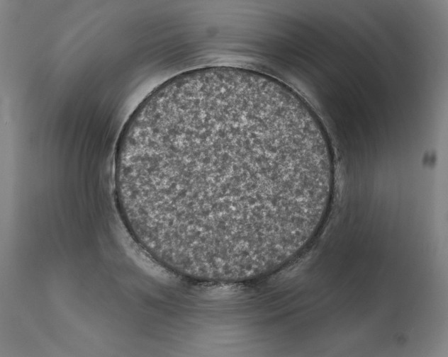 X0000112350891200909241059