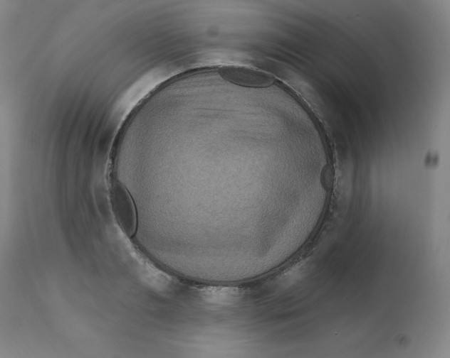 X0000112350893200909241059