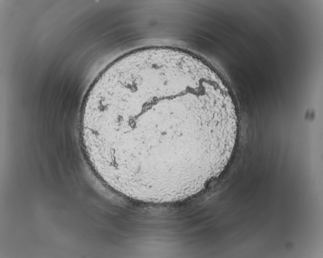 X0000112350895200909241059