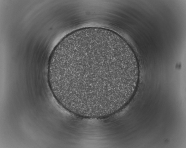 X0000112350896200909241059