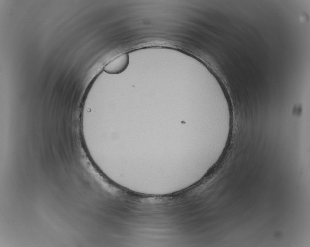 X0000112350898200909241059