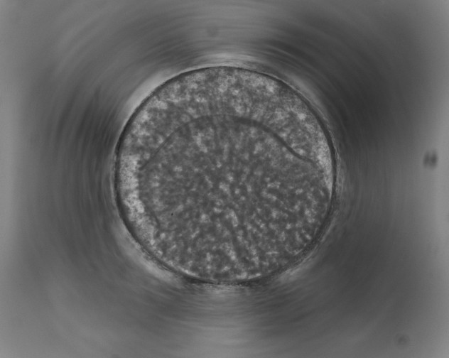 X0000112350899200909241059