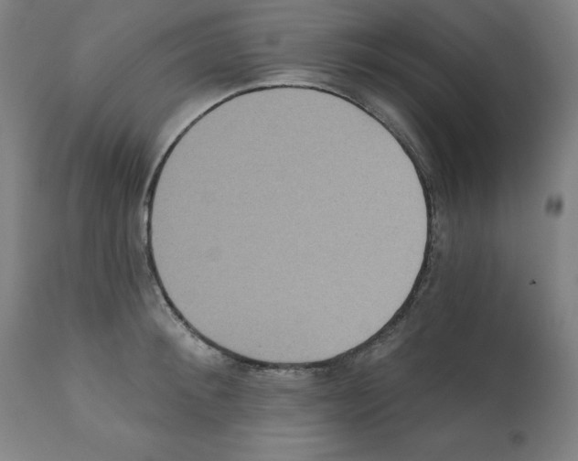 X0000112350900200909241059