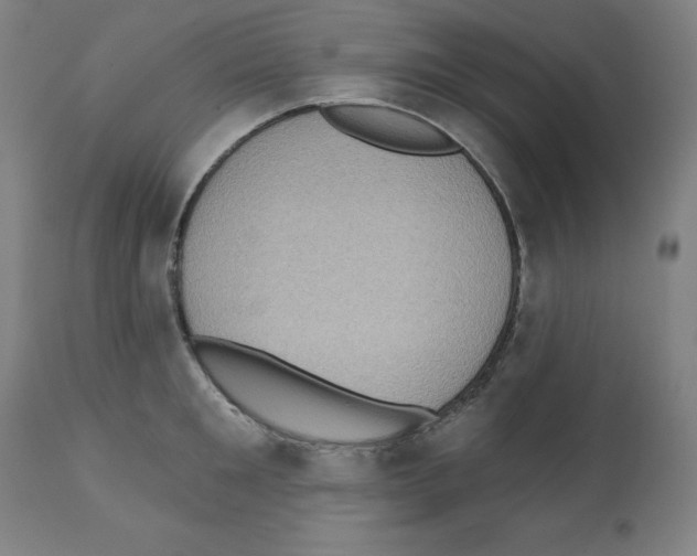 X0000112350901200909241059