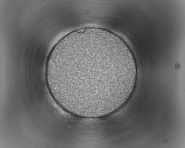 X0000112350902200909241059