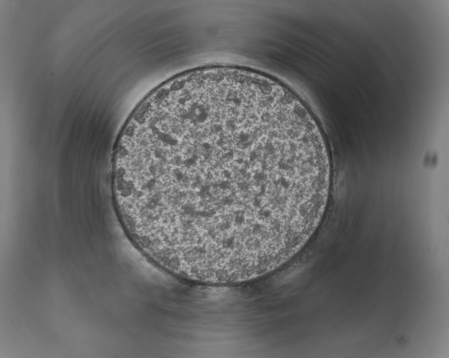 X0000112350903200909241059