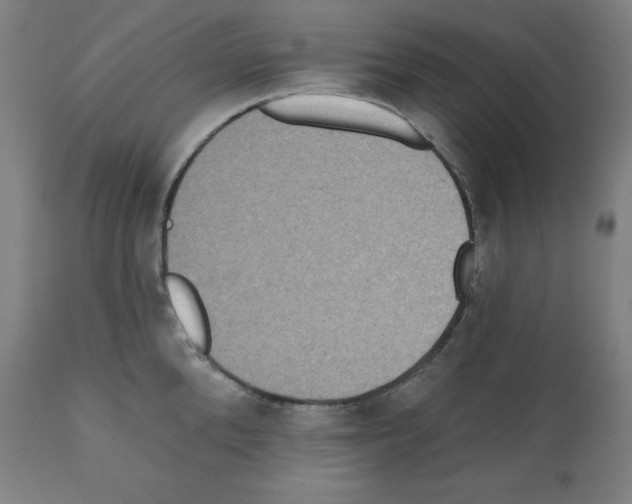 X0000112350904200909241059