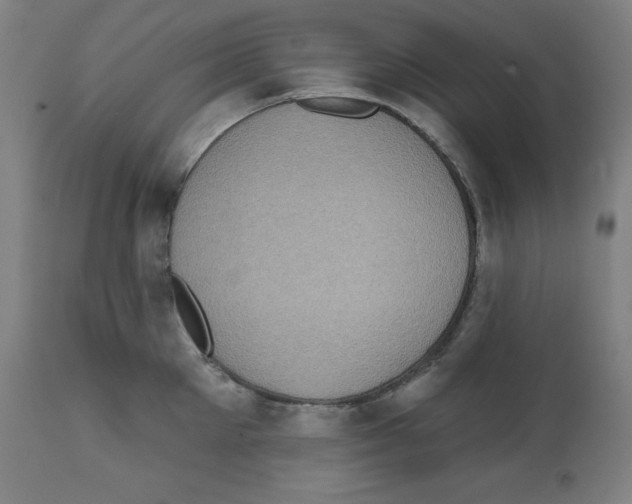 X0000112350905200909241059