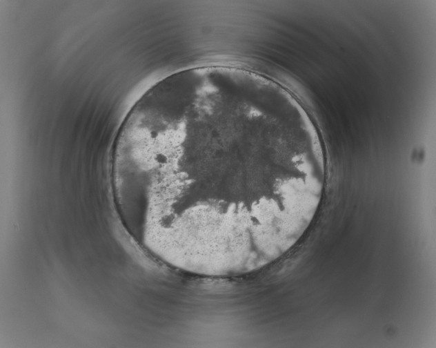 X0000112350907200909241059