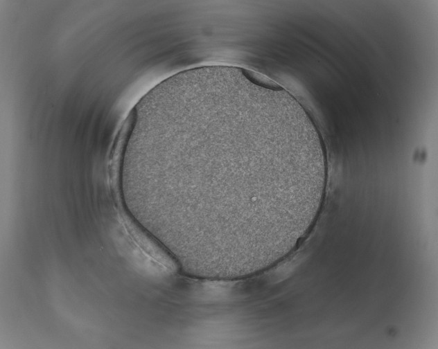 X0000112350908200909241059