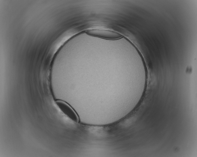 X0000112350909200909241059