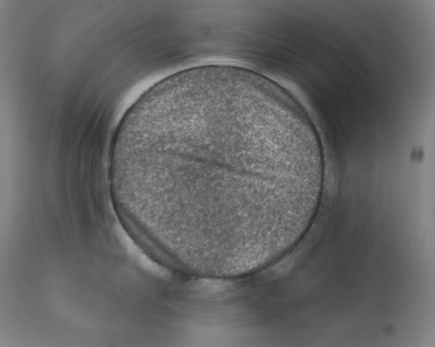 X0000112350910200909241059