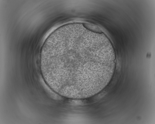 X0000112350911200909241059