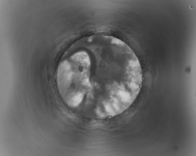 X0000112350913200909241058