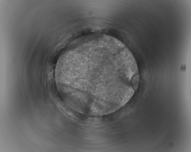 X0000112350914200909241058