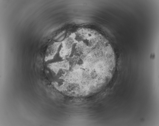 X0000112350917200909241058