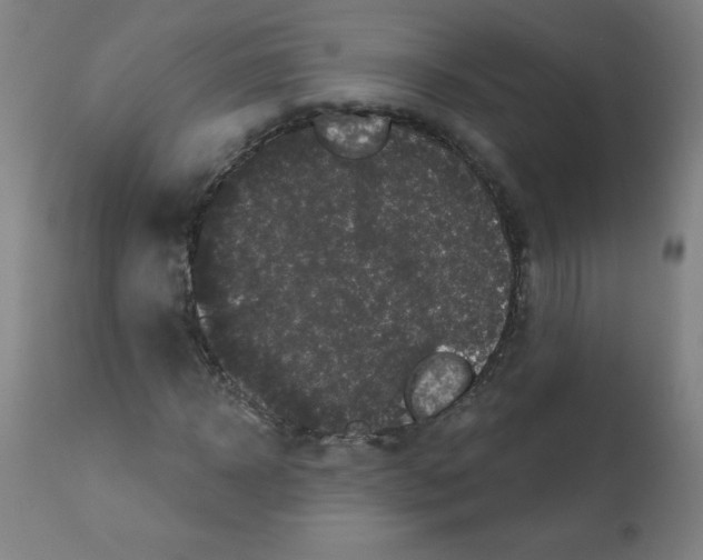 X0000112350918200909241058