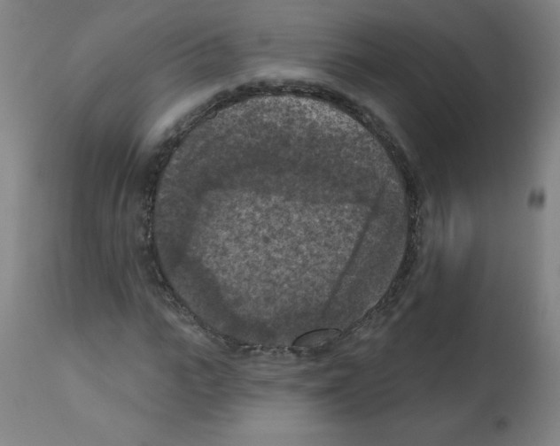 X0000112350919200909241058