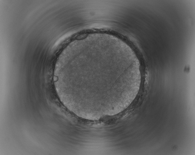 X0000112350920200909241058