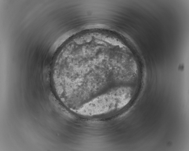 X0000112350921200909241058