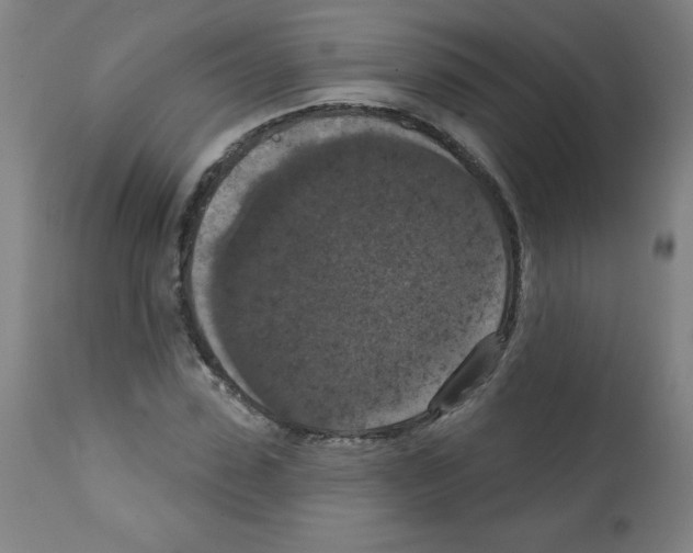 X0000112350923200909241058